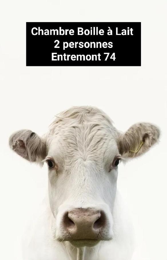 Chambre Trefle Entremont Zewnętrze zdjęcie